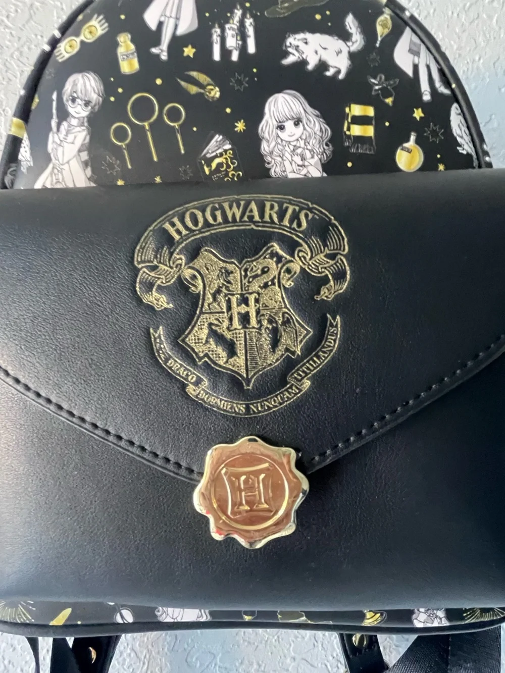 Harry Potter Loungefly Backpack